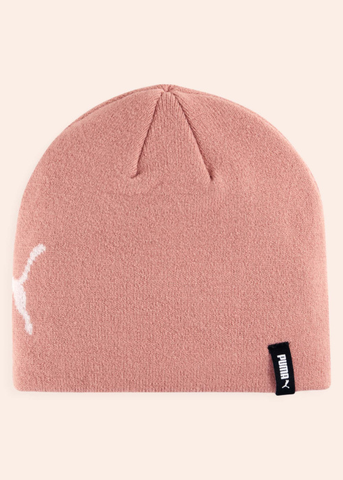 Зимняя шапка Ess No 1 логотип Puma
