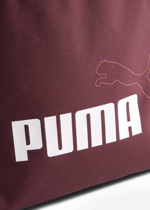 Рюкзак Phase Elemental Puma