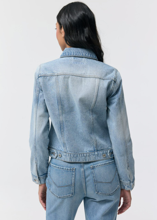 Diverse tagi Borea 262