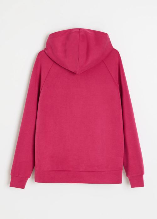 Diverse pusa Modalis 262