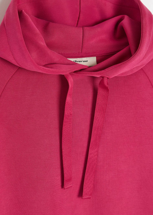 Diverse pusa Modalis 262