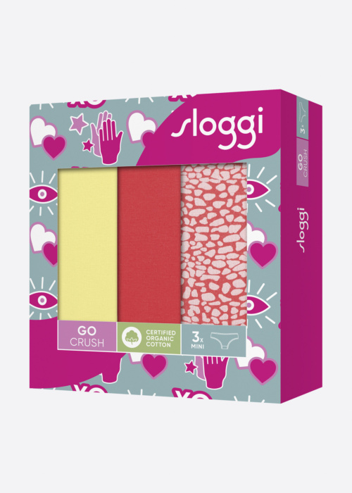 Sloggi aluspüksid 3 paari karbis