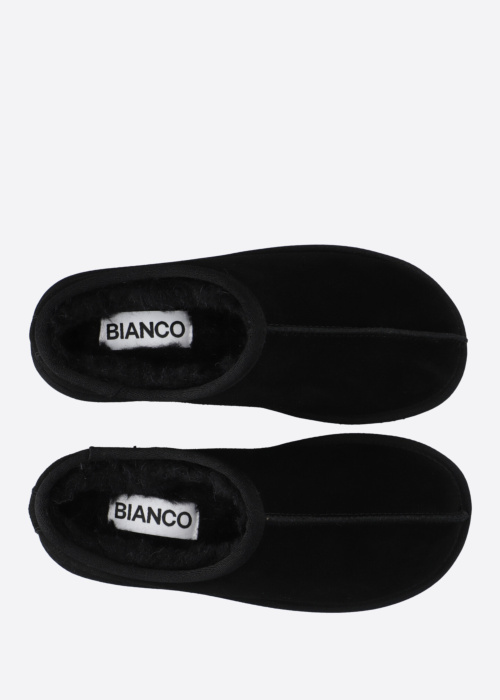 Bianco sussid Snow