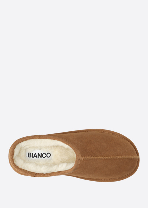 Bianco sussid Snow