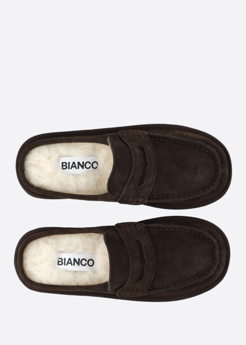 Bianco sussid Snow