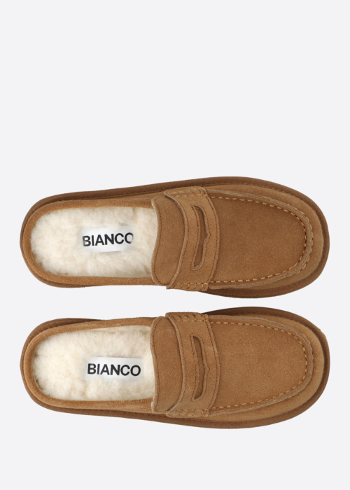 Bianco sussid Snow