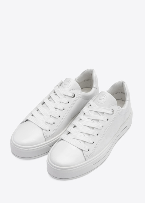 Ara tennised Canberra 3.0