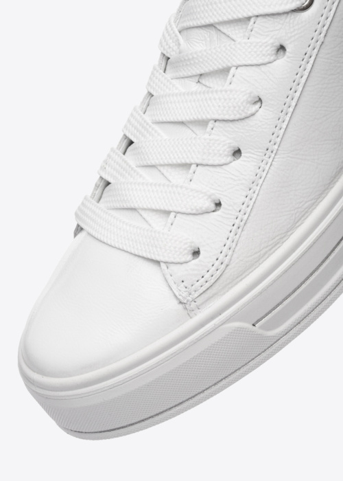 Ara tennised Canberra 3.0