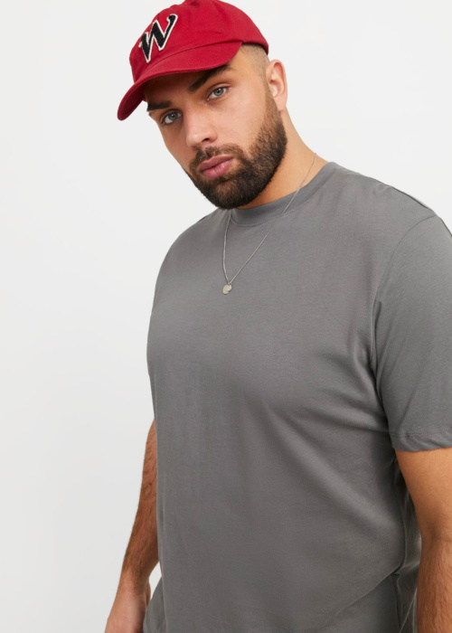Jack & Jones Plus T-särk Bradley