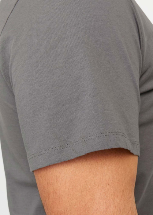 Jack & Jones Plus T-särk Bradley