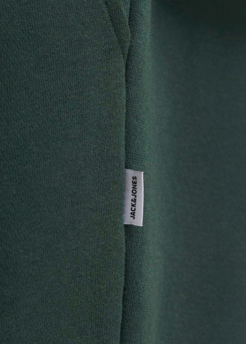 Jack & Jones dressipüksid Jpstkane Bradley