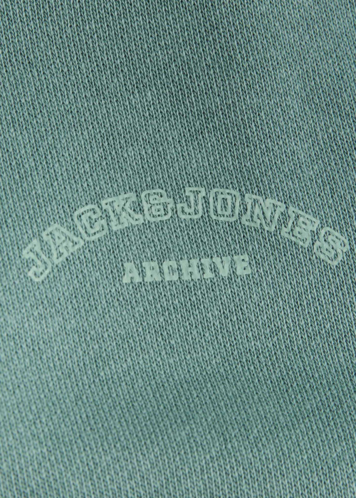 Jack & Jones pusa College