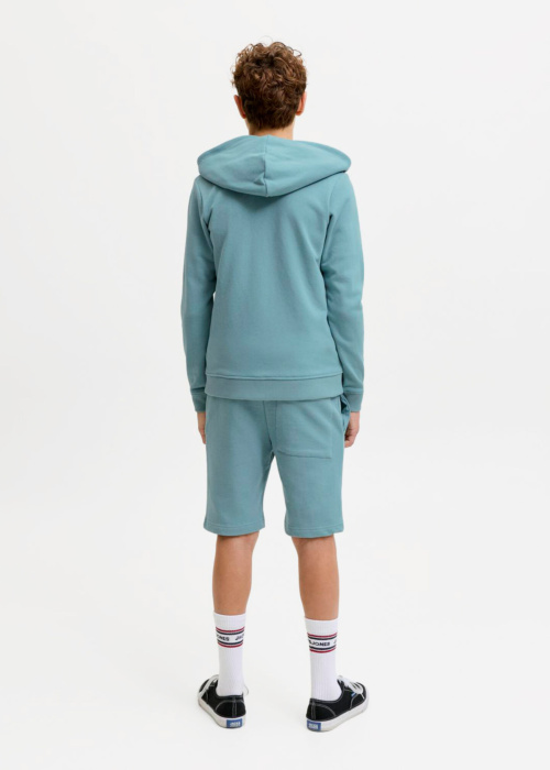Jack & Jones püksid Gordon