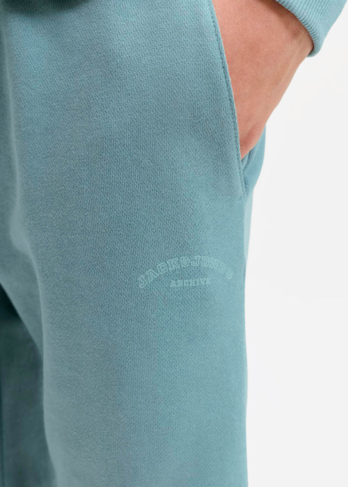 Jack & Jones püksid Gordon