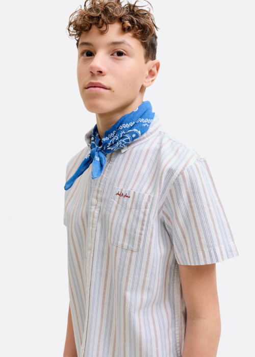 Jack & Jones triiksärk Devin