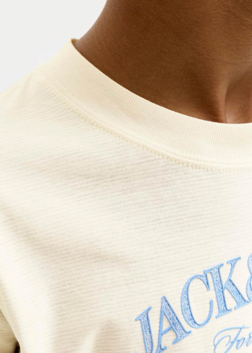 Jack & Jones T-särk Cassis