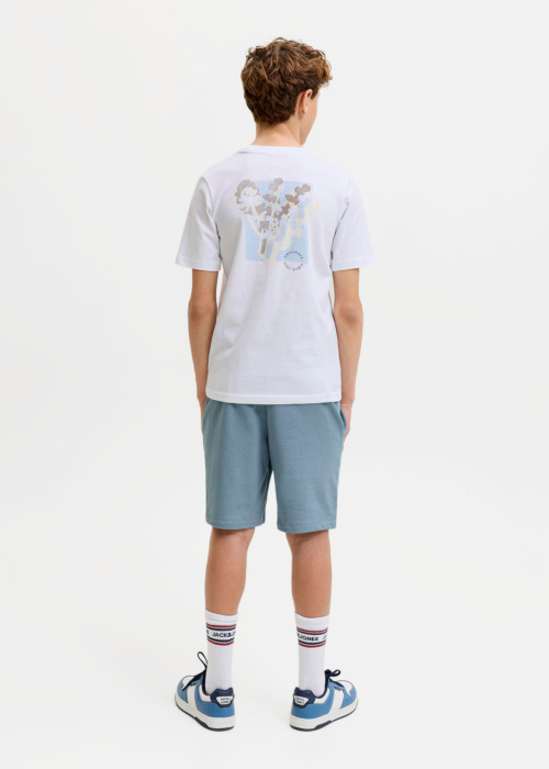 Jack & Jones püksid Gordon