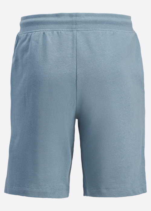 Jack & Jones püksid Gordon