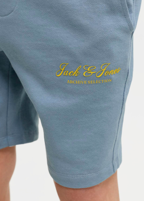 Jack & Jones püksid Gordon