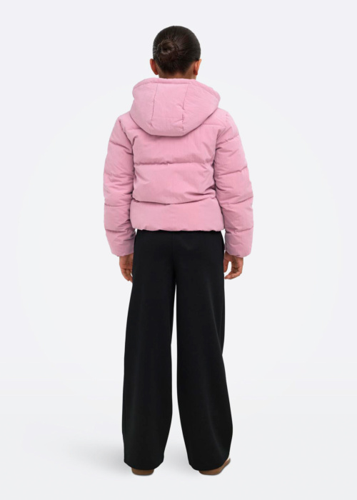 Only tepitud talvejope Dolly