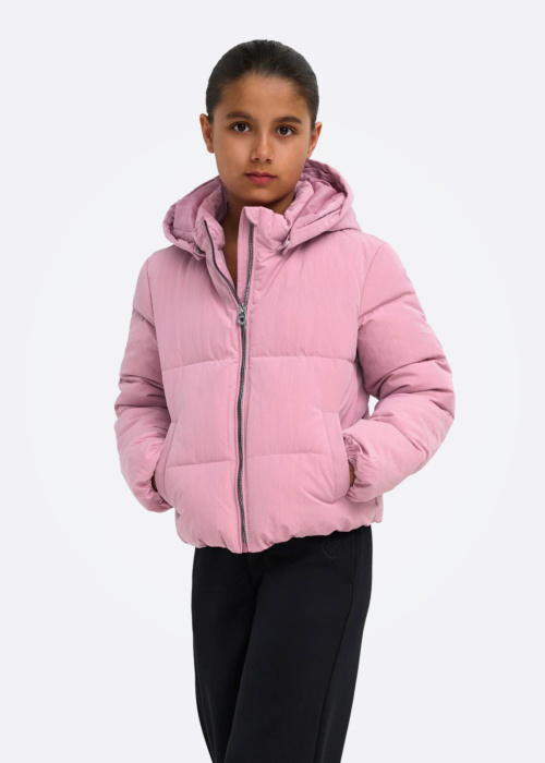 Only tepitud talvejope Dolly