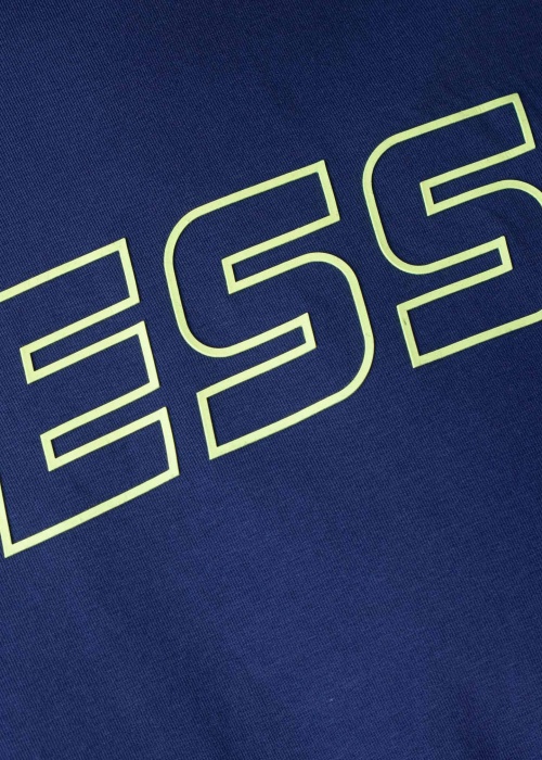 Футболка Boniface Guess