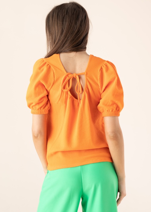 b.young pluus Palina