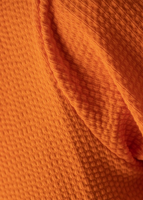 b.young pluus Palina