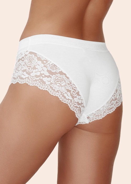 Боксеры Friends