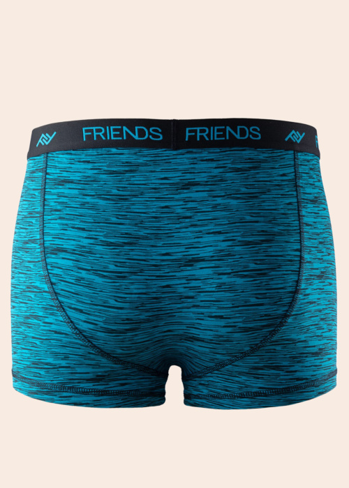 Боксеры Friends