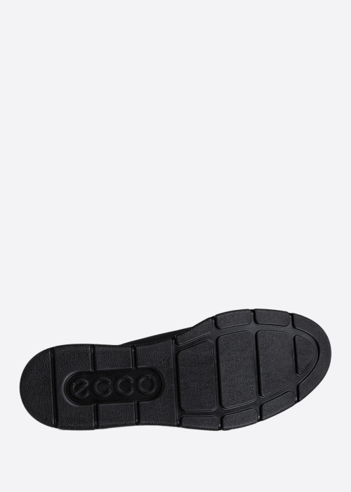Ecco kingad Bella 2