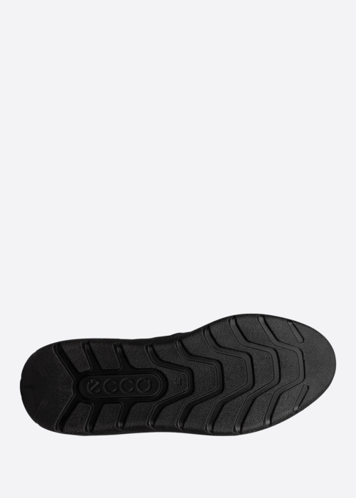 Ecco vabaajajalatsid