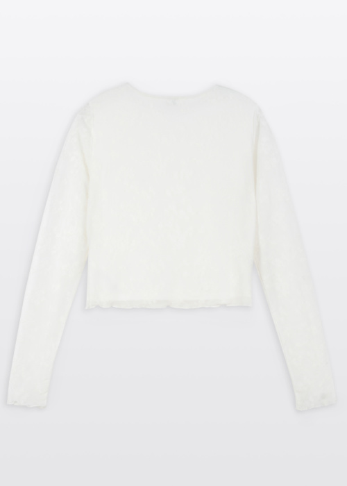 Reporter Young pluus