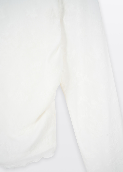 Reporter Young pluus