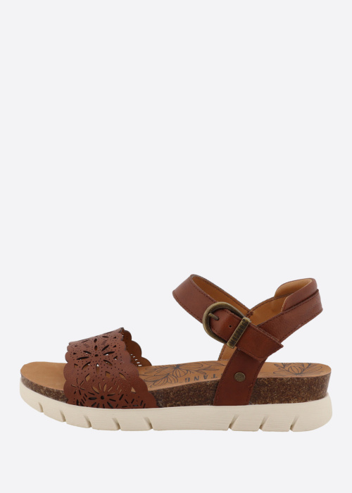 Mustang kingad Hendrike