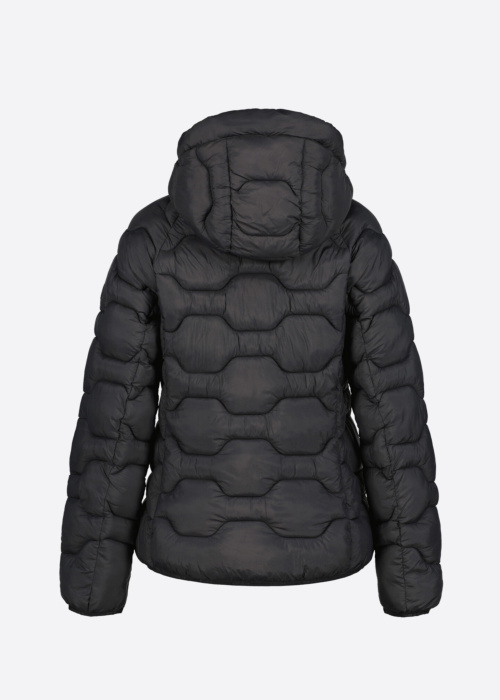 Icepeak tepitud kevad-sügisjope Blackey