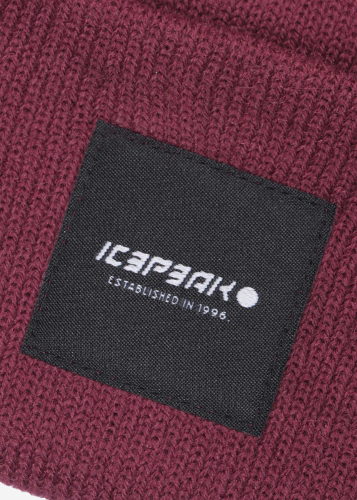 Зимняя шапка Harcourt Icepeak
