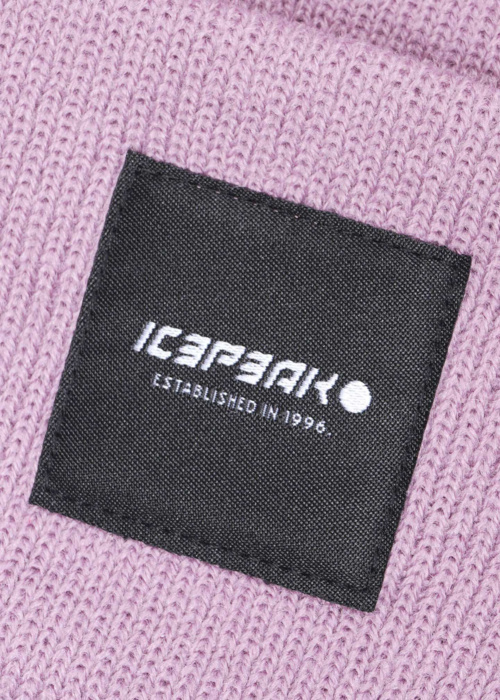 Зимняя шапка Harcourt Icepeak
