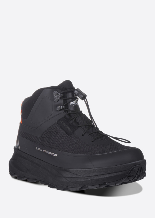 Походные сапоги Aarau Icepeak