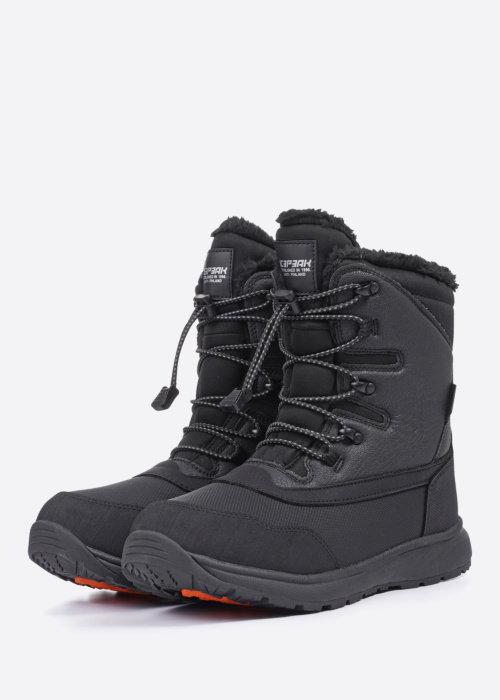 Зимние сапоги Almont Icepeak