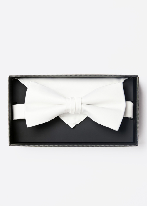 Бабочка и платок в подарочной коробке Lindbergh