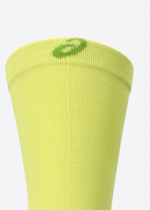 Asics Fujitrail Crew