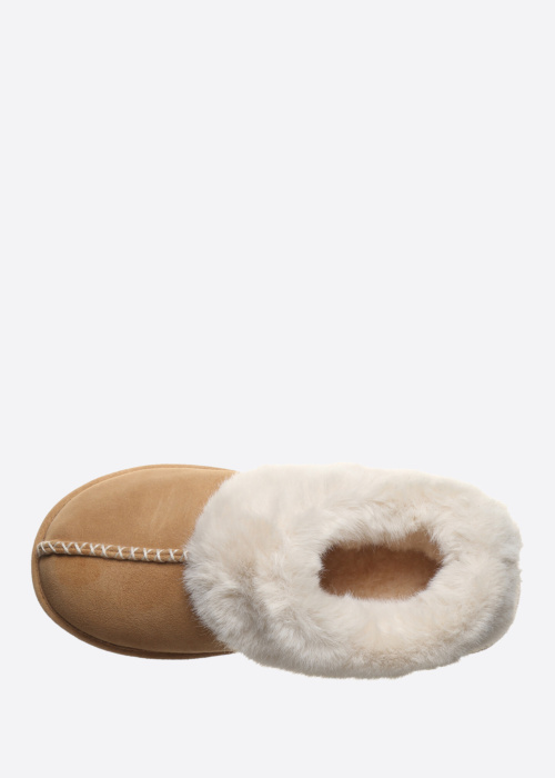 Bearpaw sussid Bella