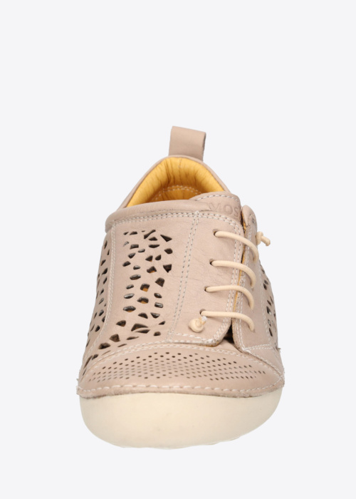 Cosmos vabaajajalatsid