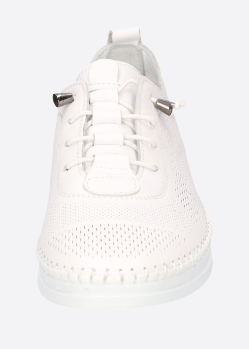 Cosmos vabaajajalatsid