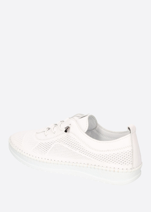 Cosmos vabaajajalatsid