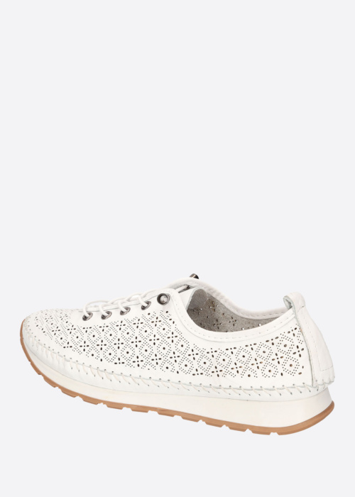 Cosmos vabaajajalatsid