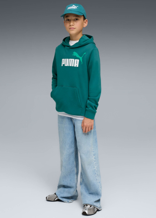 Puma pusa Ess 2col Logo