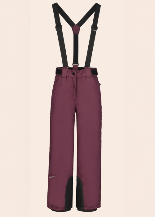 Зимние штаны Icepeak