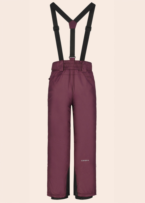 Зимние штаны Icepeak